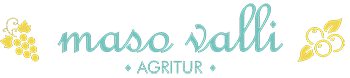maso valli logo