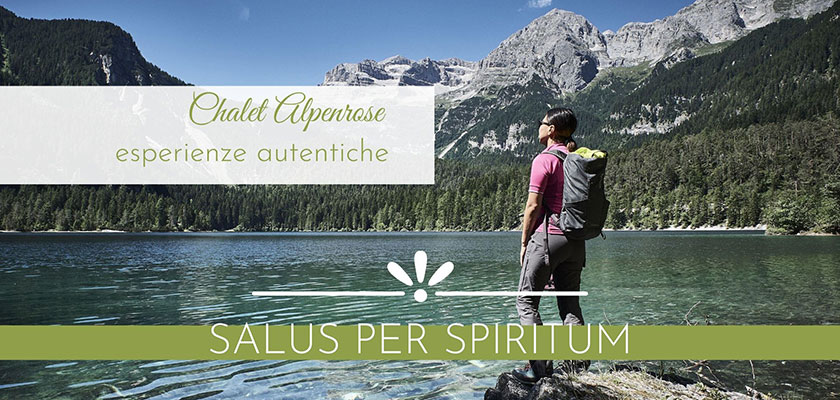 chalet alpernrose salus